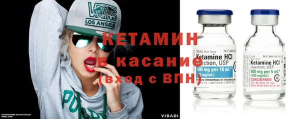 сатива Алзамай