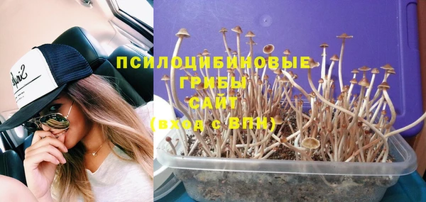 круглые Алексин