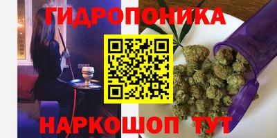 эйфоретик Краснодар
