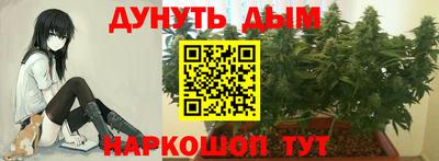 сатива Краснознаменск
