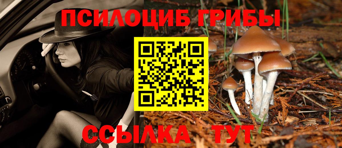Галлюциногенные грибы MAGIC MUSHROOMS Кудрово