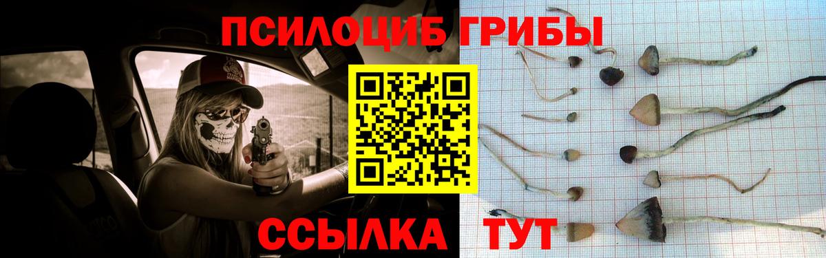 Псилоцибиновые грибы ЛСД  Вход с VPN  Кудрово  Псилоцибиновые грибы прущие грибы 